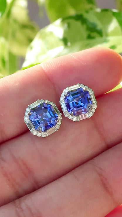 Prism Halo Studs - Tanzanites