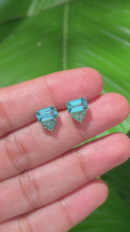 Prism Earrings - Tourmalines and Tanzanites